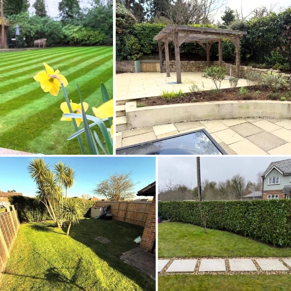 Professional gardening